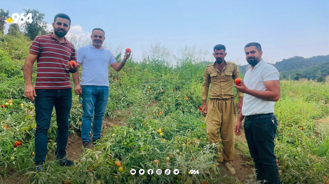 جوتیارانی پێنجوێن دژى بڕیارێكى وه‌زاره‌تى كشتوكاڵى عێراق ده‌وه‌ستنه‌وه‌