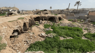 شرطة الغابات في السجن.. الصيادون انفلتوا في كفري وبطشوا بكل الأحياء!