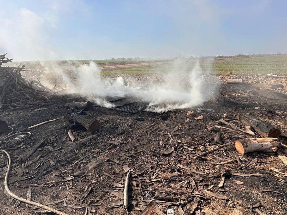 الشوي على خشب حمضيات ديالى ليس كغيره.. الفحامة في أفضل حال والمنتوج إلى البصرة