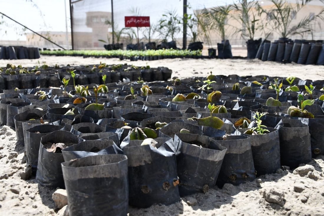 <?php echo get_the_title() ?>