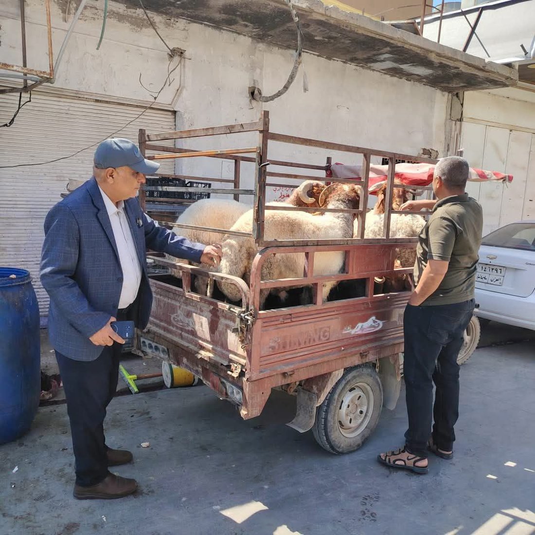 تاى خوێنبەربوون کۆتایى بە گۆشتفرۆشتنى سەر شەقامەکان دەهێنێت