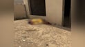 Taxi driver found dead with signs of torture, vehicle missing