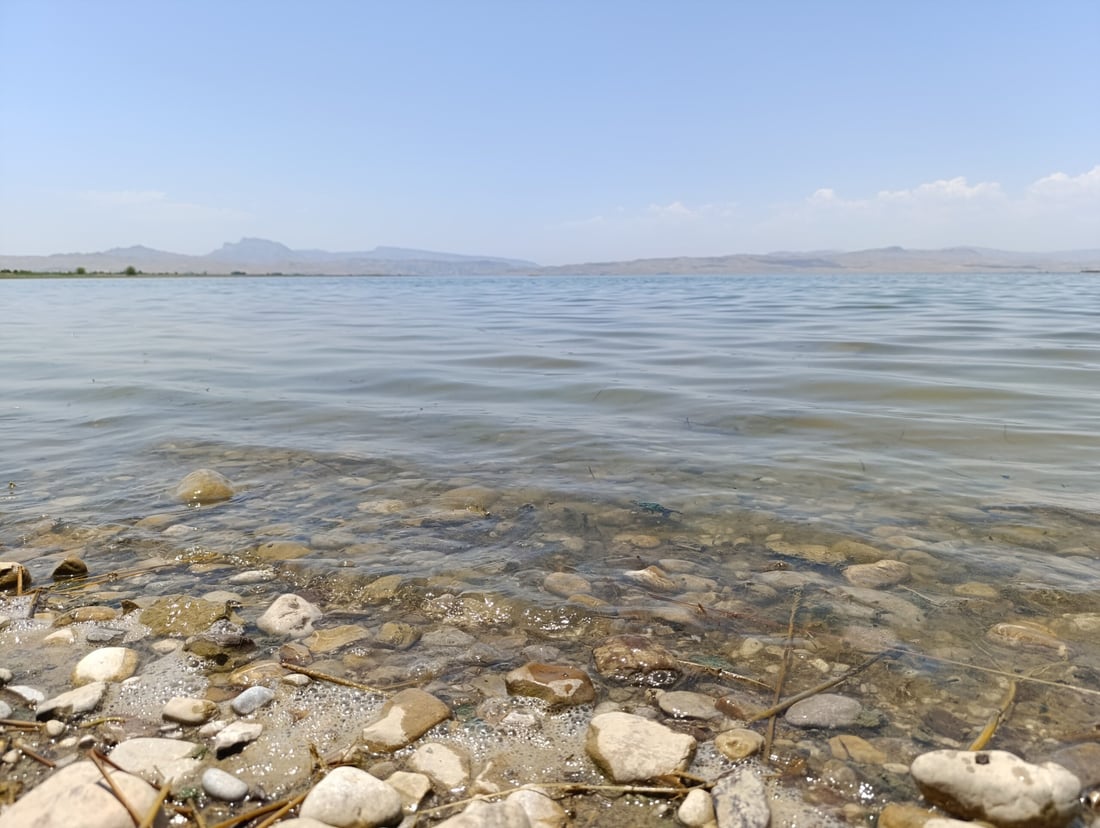 ئه‌مساڵ به‌ته‌ماى شووتى و خه‌یارى به‌حره‌كه‌ مه‌بن