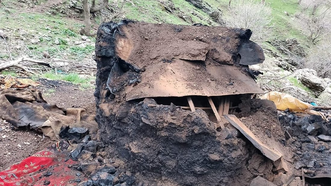 فەردە خەڵوزەکان دەخرێنە مەزادەوە