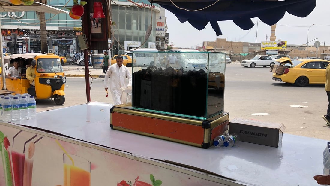 صور من سوق العشار: عادت عربات الـ”نومي بصرة” وانتهت “صفنة” رمضان والعيد