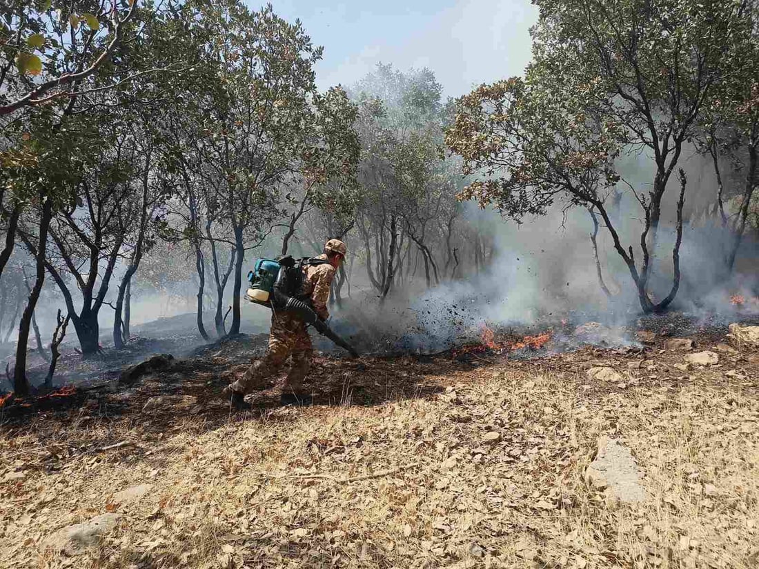 20 دۆنم دارستان و پوش و پاوان و رەز و باخى هاوڵاتیانى گوندى باراو سووتا