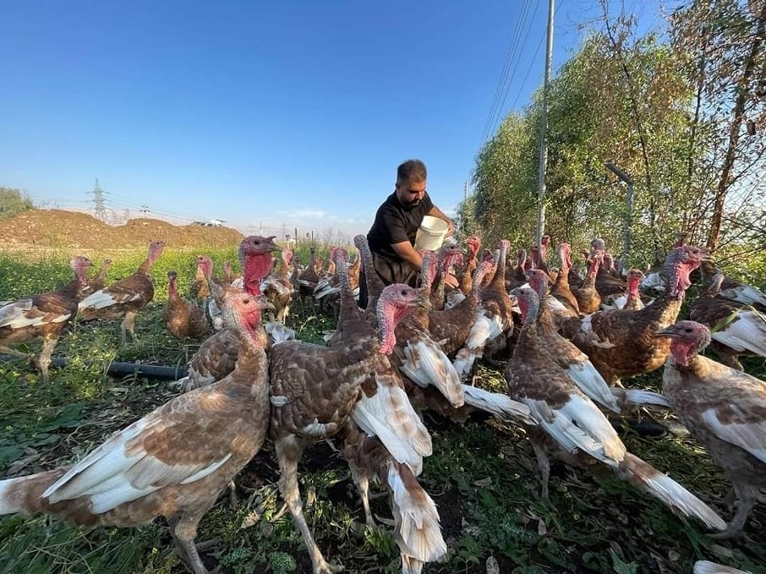 گه‌نجێكی سه‌یدسادق ده‌یه‌وێت “قه‌لى سوور” بكاته‌ پڕۆژه‌یه‌كی گه‌وره‌