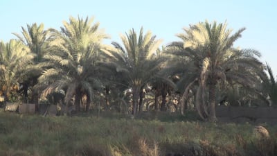 رصدنا “حالات سلبية”.. بلد توقف استقبال السواح في البساتين الترفيهية