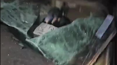 لە رووداوێکی سه‌ختى هاتوچۆدا چوار كه‌سی خێزانێك گیانیان لەدەستدا