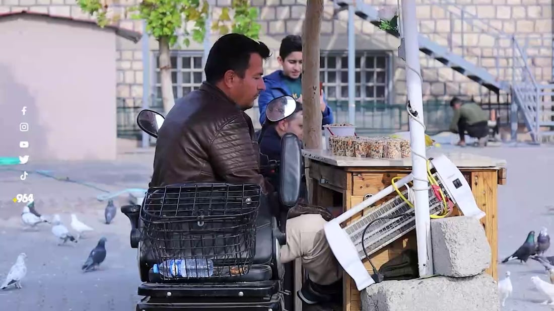الإعاقة شجعته لشراء ألف طير.. الحمائم “تطعم” مربيها في دهوك (صور)