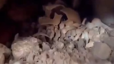 لەکاتی کارکردن لە پڕۆژەی دووسایدی رۆڤیا ئێسک و پروسک دۆزرانەوە