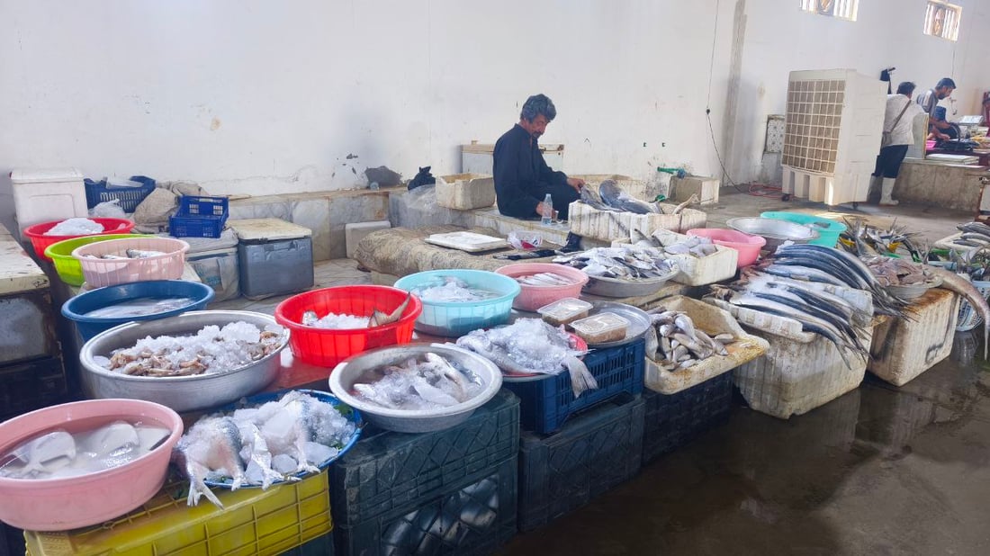 أخيراً وصل سمك “الشماهي” إلى مرسى النقعة.. الكمية نفدت فور وصولها (صور)