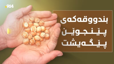بندووق هاوشێوەی بەڕوو و فستقە و کیلۆی بە 10 هەزار دینار