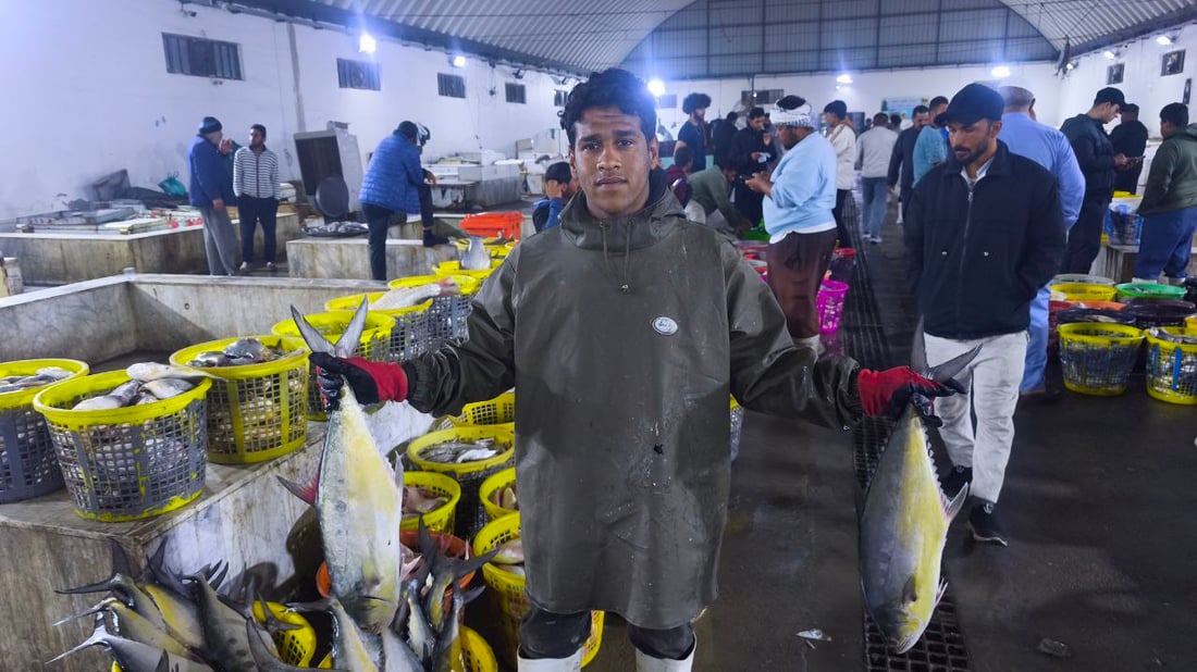 صور: 30 طناً من السمك في مرسى النقعة.. “خلي الفقير ياكل”