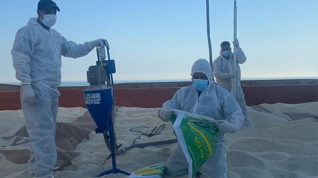 برنجی ئەم مانگەی بایەعی بە فەلی هاتووە