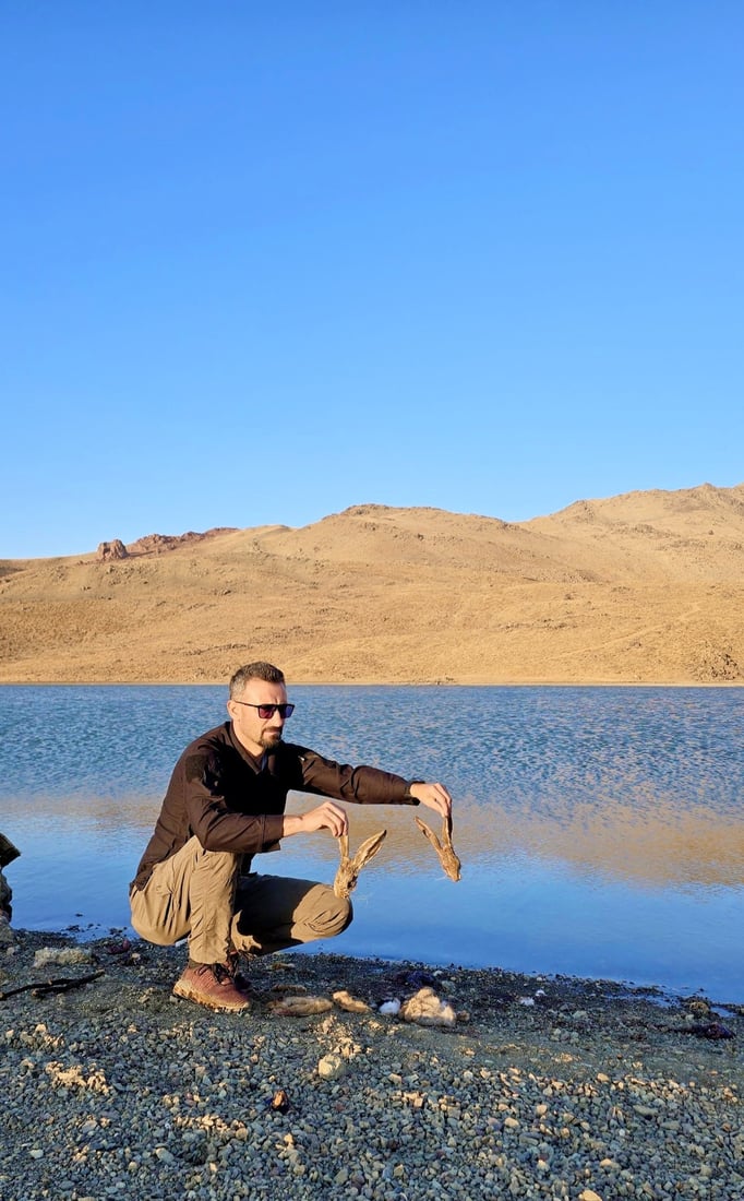 له‌ كوێستانێكی برادۆست راوى به‌كۆمه‌ڵى ئاژه‌ڵ و باڵنده‌ كێویه‌كان ده‌كرێت