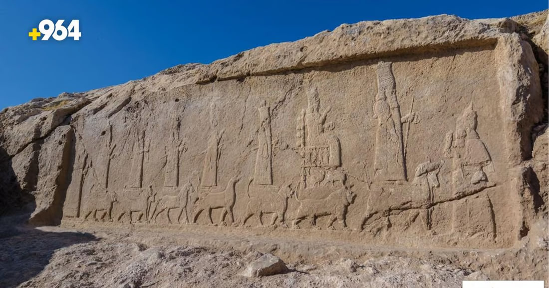 964mediaصورة من منصة (شبكة): 