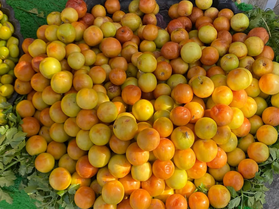 Prices for fruit, vegetables, drop in Basra markets
