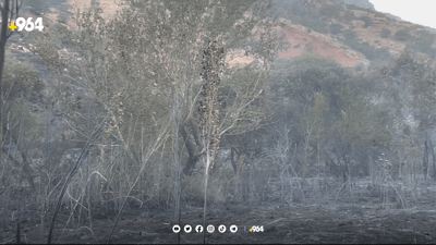 ئاگرەکەی گەلی دێرکێ زیانی زۆری بەڕەزەکان گەیاندووە