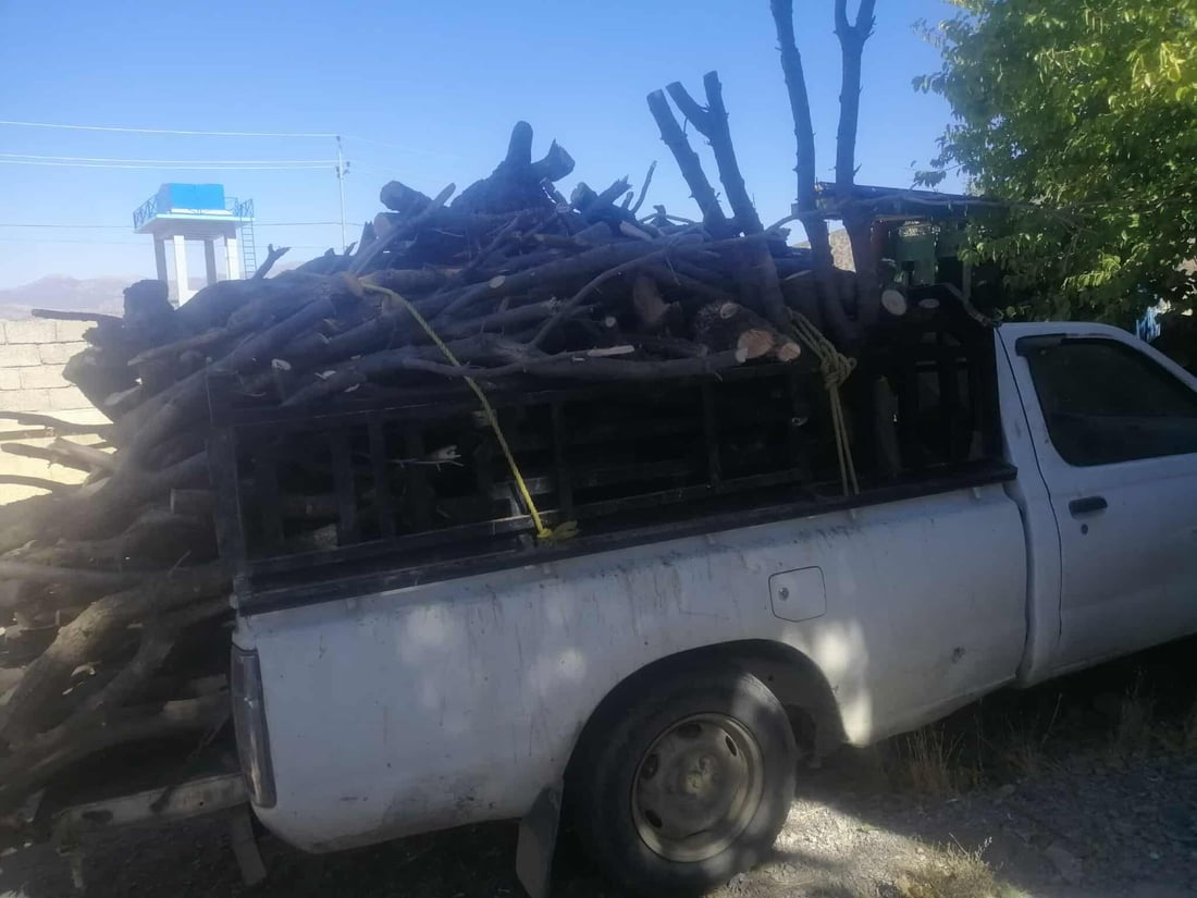 چوار تەوربەدەست بە پێکابێک داری تەڕەوە دەستگیر کران