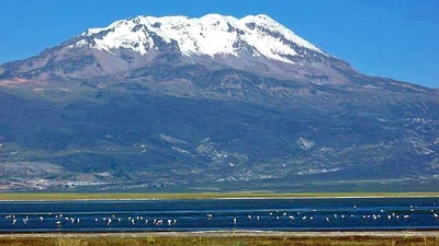 Fires in Dukan district raise suspicions of arson