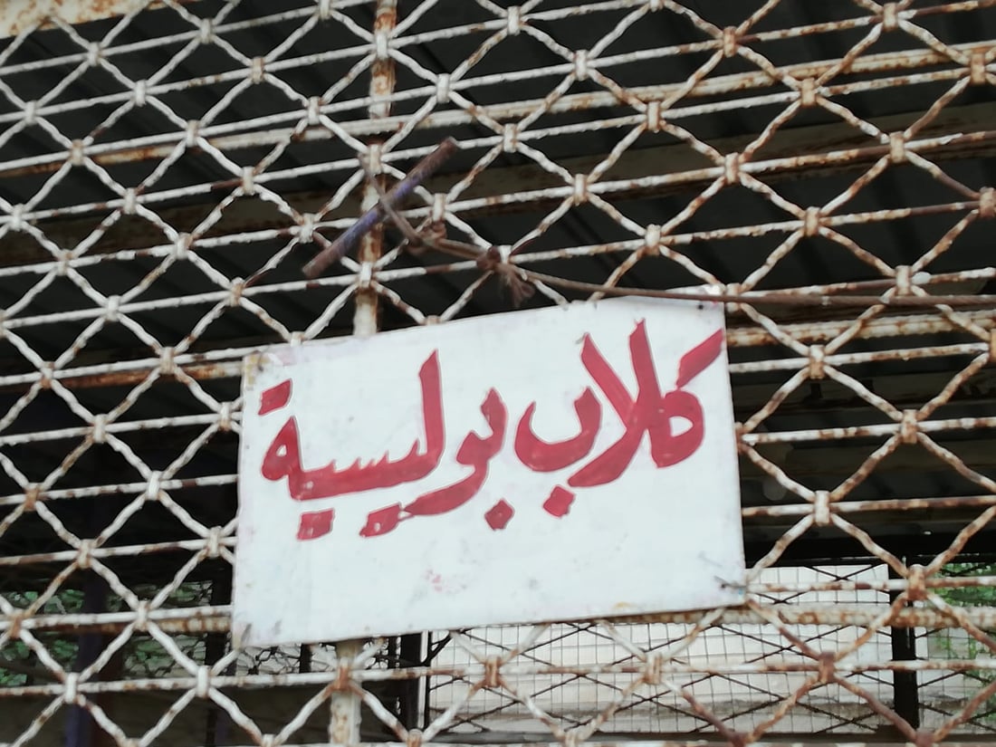 صور: “الذئاب”.. حديقة حيوانات مصغرة شرق بغداد بحاجة إلى بعض الدعم والتطوير