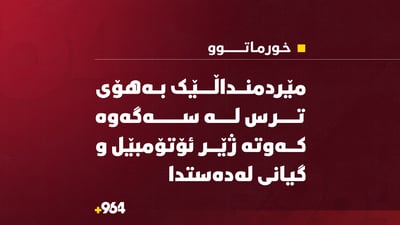 مێردمنداڵێک سەگ پەلاماریان دا و دواتر ئۆتۆمبێلێک كوشتی