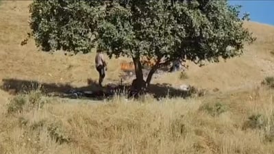 “خەڵوزی نێرگەلە هۆکاری ئاگرەکە بووە”