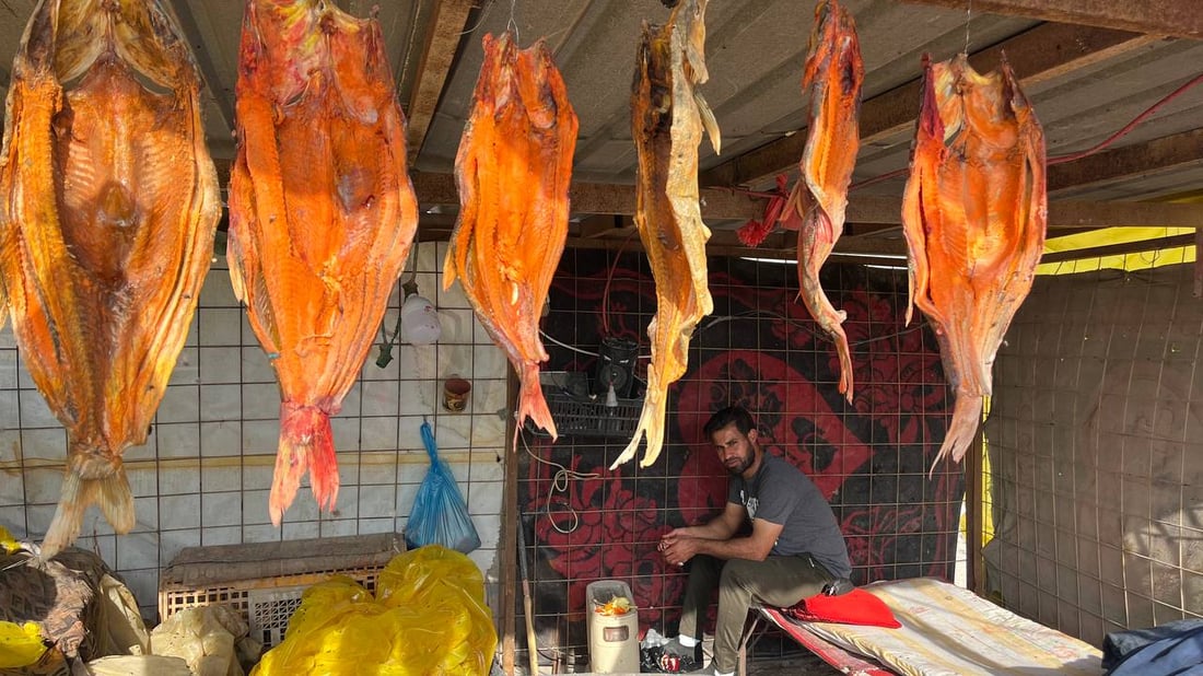 صور غير مألوفة من البصرة: لون المسموطة صار أحمر.. والبغادلة يصورون فقط!