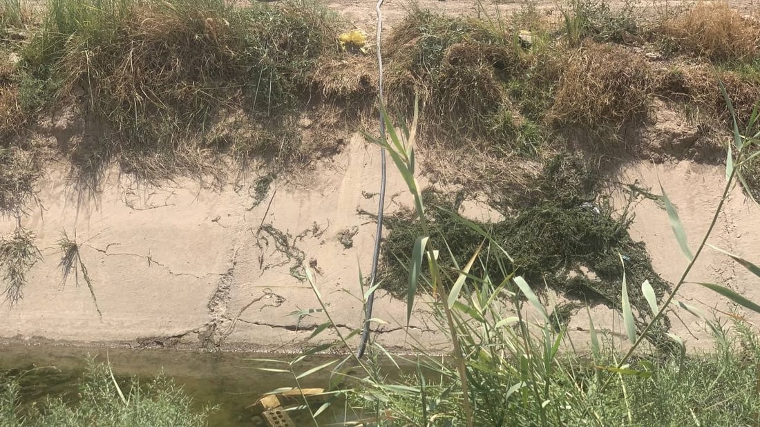 “أم العصافير” البغدادية تشرب من دجلة بلا تصفية.. مناعتنا تقل ونخشى الأمراض