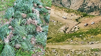 بنارى قه‌ندیل گژوگیاى به‌هاره‌ له ‌خه‌ڵكی ده‌ره‌وه‌ى بناره‌كه‌ قه‌ده‌غه‌ ده‌كات