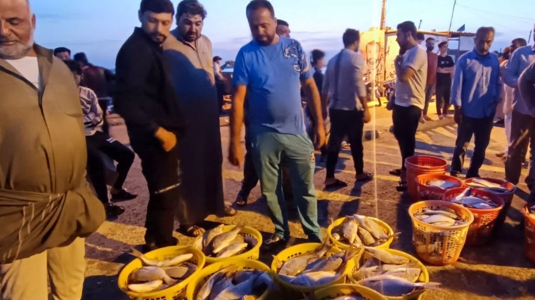 أهل بغداد لا يغادرون البصرة دون زيارة مزاد السمك.. الصبور البحري يجذب الجميع