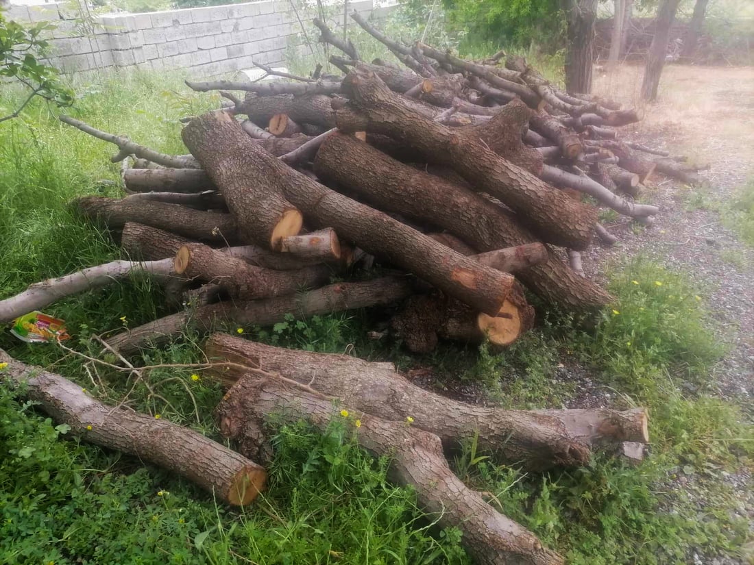 چوار پیکاب داری بڕاوە دەستی بەسەردا گیرا