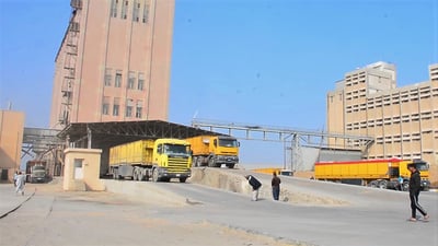 14 ألف طن من الحنطة في مخازن الناصرية.. والمطاحن بحاجة إلى 26 الفا (صور)