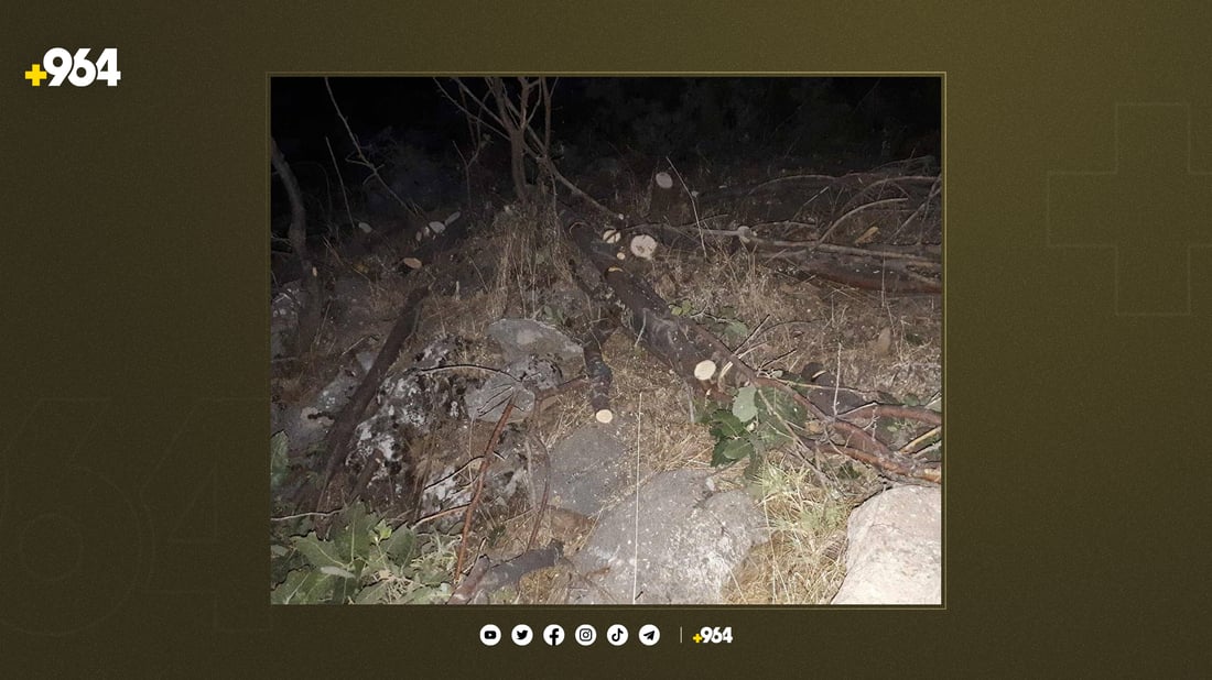داربڕێک لە مێرگەپان دەستگیرکرا