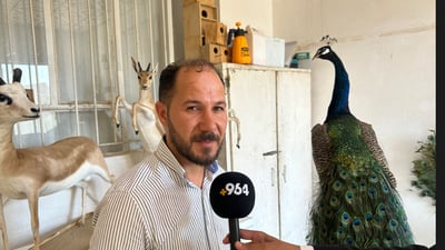 20 ساڵە خەریکی مۆمیاکردنە بەڵام بەڵێنی داوە دەست لە ئاژەڵ و باڵندەی راوکراو نەدات