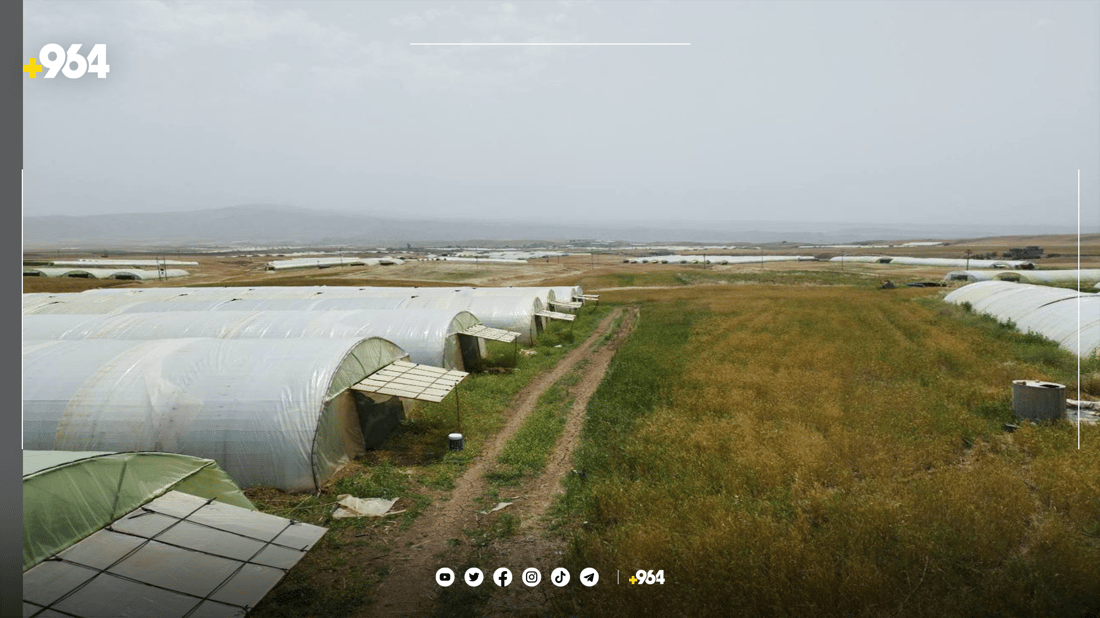 له‌ گوندێکی ئاکرێ رۆژانه‌ سێ تۆن خەیار بەرهەم ده‌هێندرێت