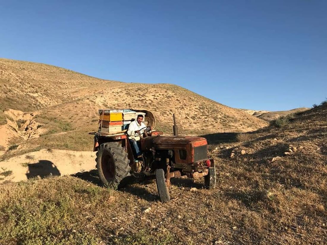 بارانى كه‌م هه‌نگوینى ئه‌مساڵى چیاى شنگالى نه‌هێشتووه‌