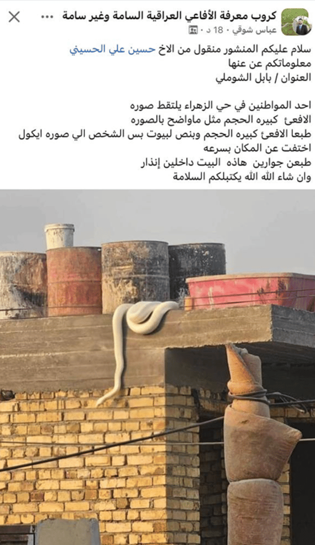 شبكة 964صورة من منصة (شبكة): 