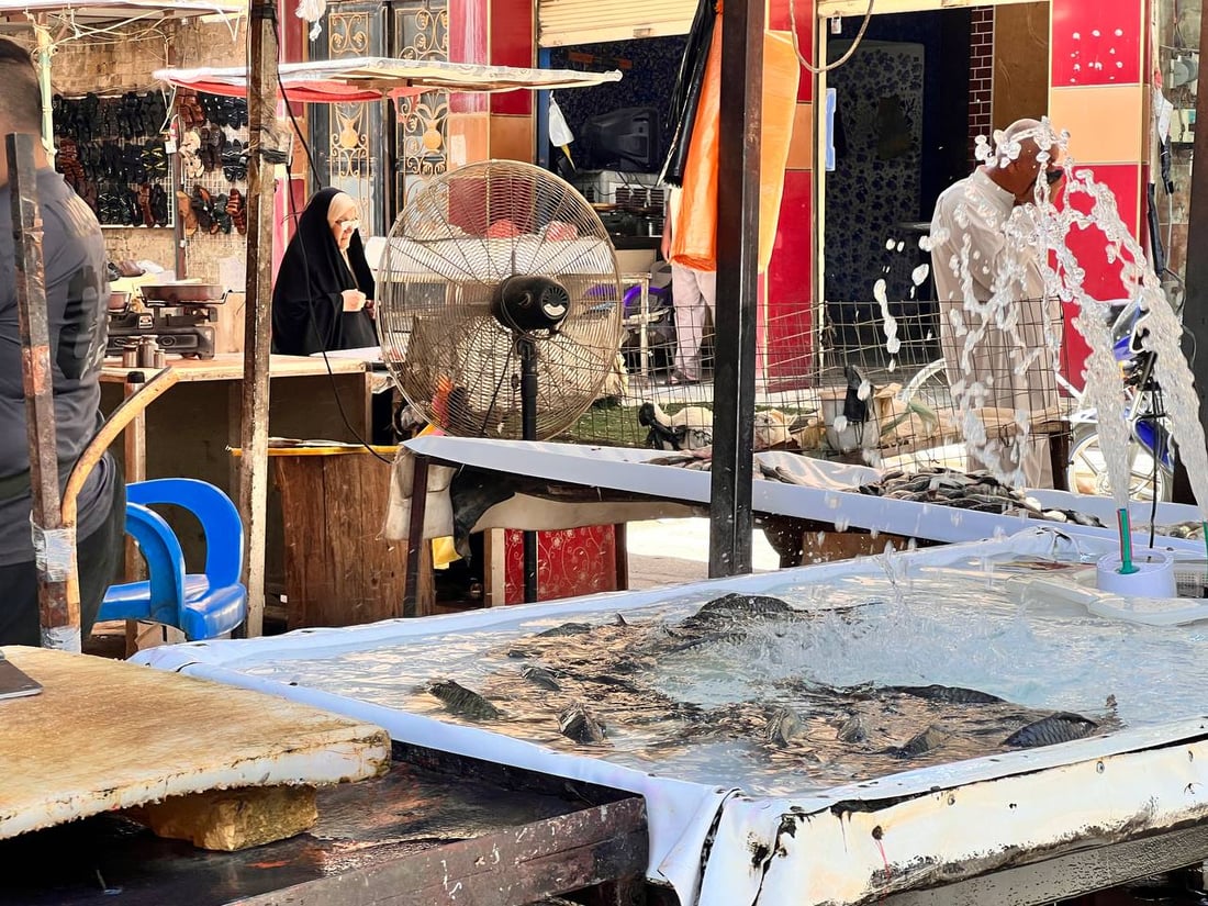بعقوبة على عكس ميدان الموصل.. شوايات السمك انطفأت وركود مع ارتفاع الأسعار