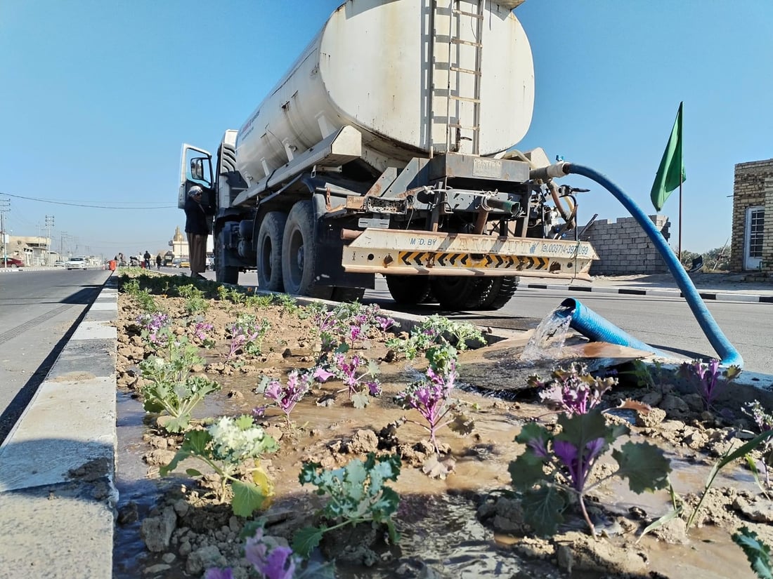 المشخاب تدعو أهلها للمشاركة في زراعة طريق القادسية.. أشجار أكاسيا بين الأقحوان
