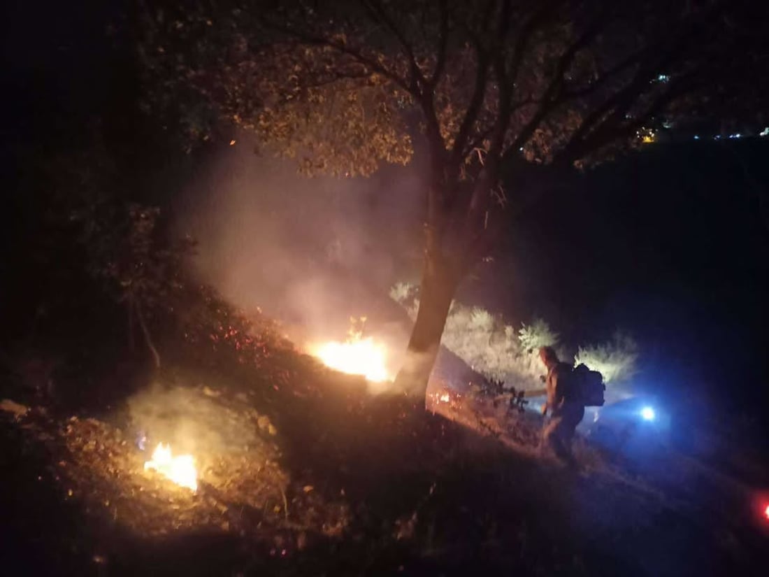 شۆرتی کارەبا زیاتر لە 1000 دۆنم پوش و پاوان و دارستانی لە شارباژێر سووتاند