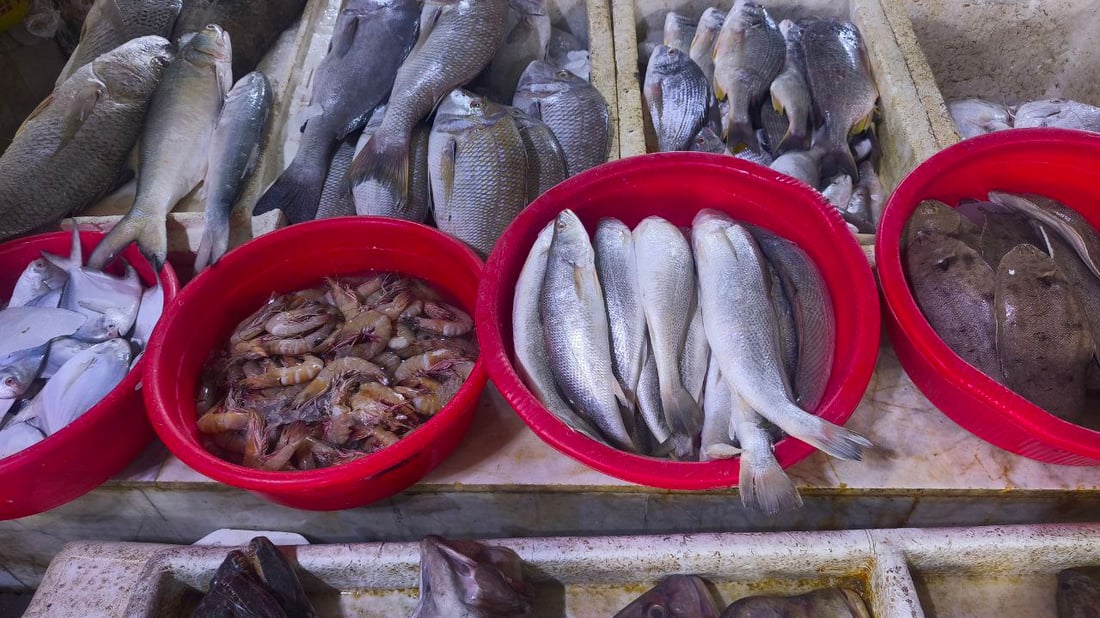 المحافظات تتوافد إلى سوق النقعة والسمك يصل بالأطنان (صور)