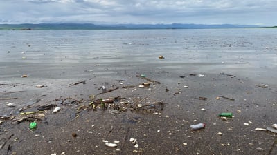 رووباری سیروان سەدان دۆنم دەغڵودانی جوتیارانی داپۆشیوە