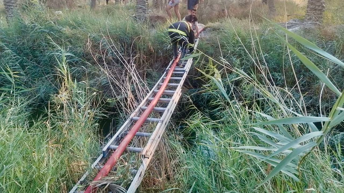 البصرة: بسبب لعب الأطفال.. حريق يلتهم 100 نخلة في قضاء الصادق