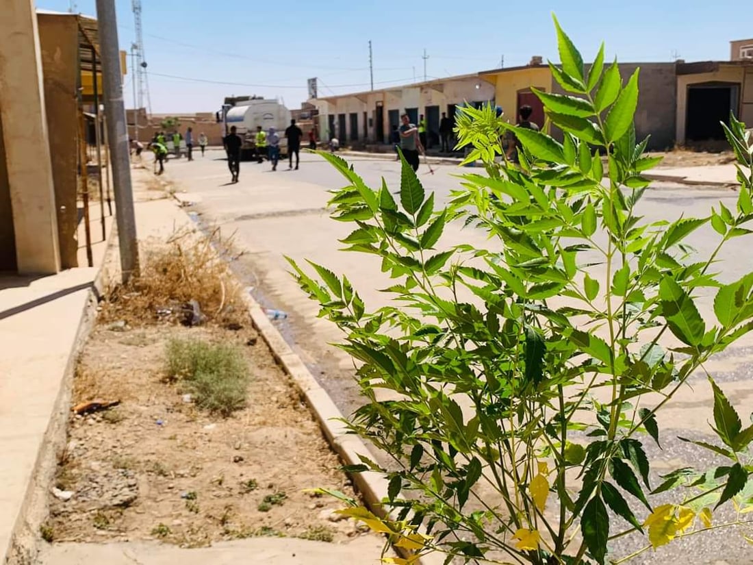 صور: عشرات الشباب يزرعون السبحبح في شوارع البعاج.. “نريد الأوكسجبن والظلال”