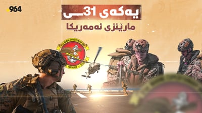  یەکەی 31ی مارێنزی ئەمریکا چییە؟