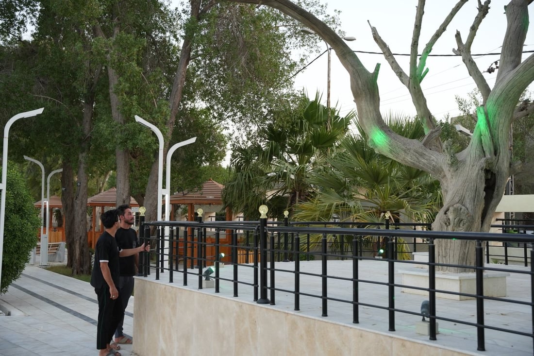 صور: إيطاليات في البصرة وبلغاريات يتأملن شجرة آدم.. انتهى الحر