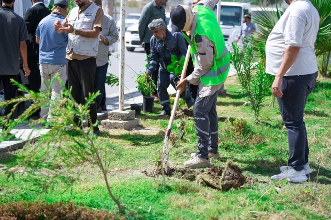 Dhi Qar launches campaign to plant 30,000 trees in Nasiriyah