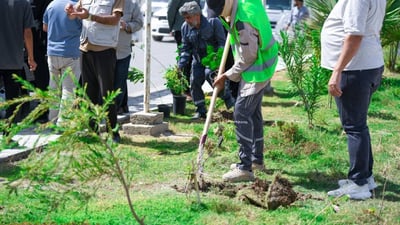 Dhi Qar launches campaign to plant 30,000 trees in Nasiriyah